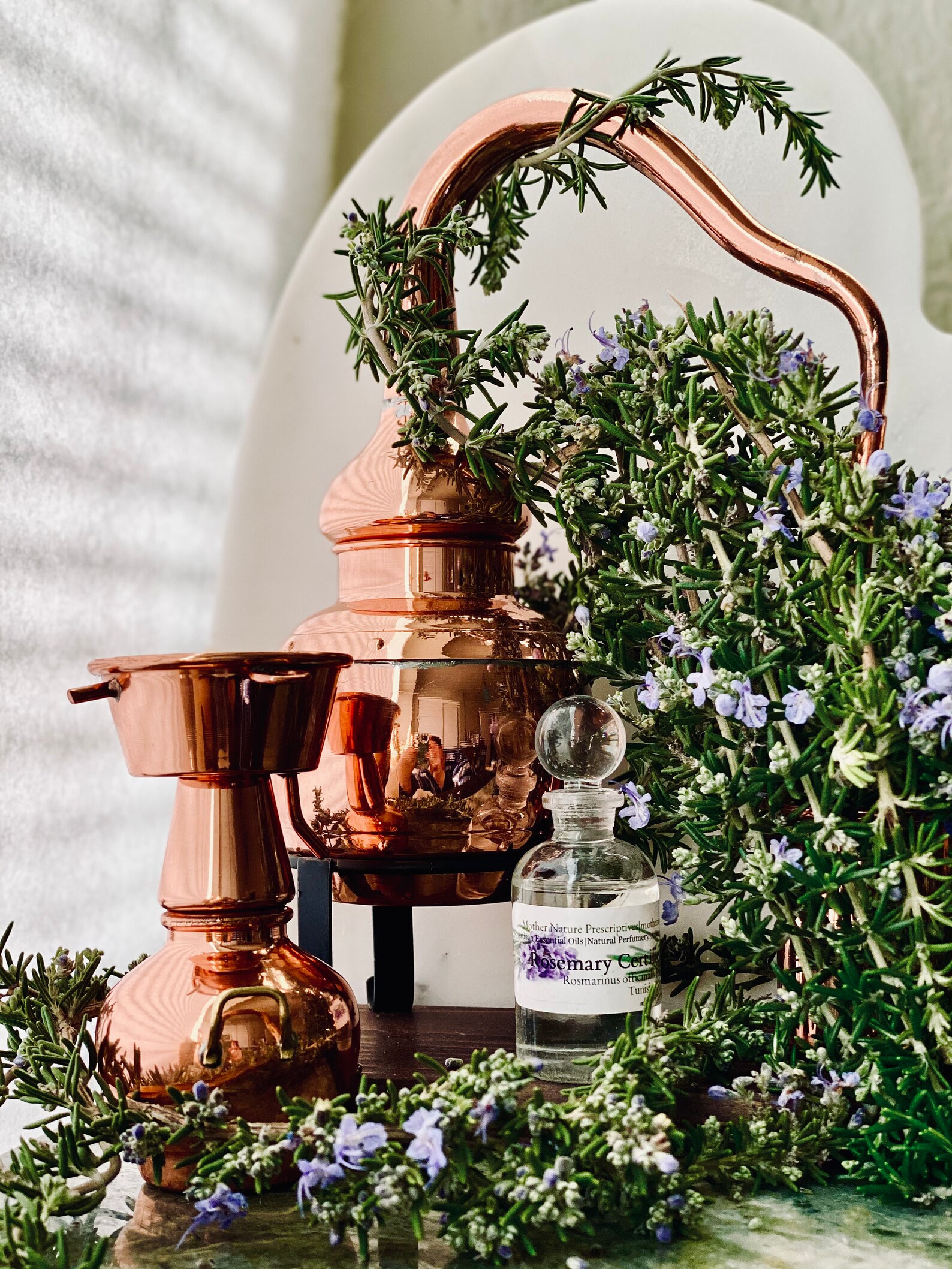 Rosemary Essential Oil Tunisia Certified Organic Rosmarinus Etsy