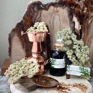May include: A copper still and glass bottle with a clear stopper are displayed with dried flowers and a fossil on a stone surface. The bottle has a label that reads "Angelica Root". A small vial and a card are also present.