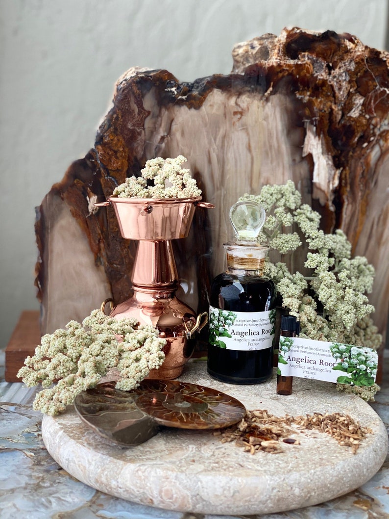 May include: A copper still and glass bottle with a clear stopper are displayed with dried flowers and a fossil on a stone surface. The bottle has a label that reads "Angelica Root". A small vial and a card are also present.