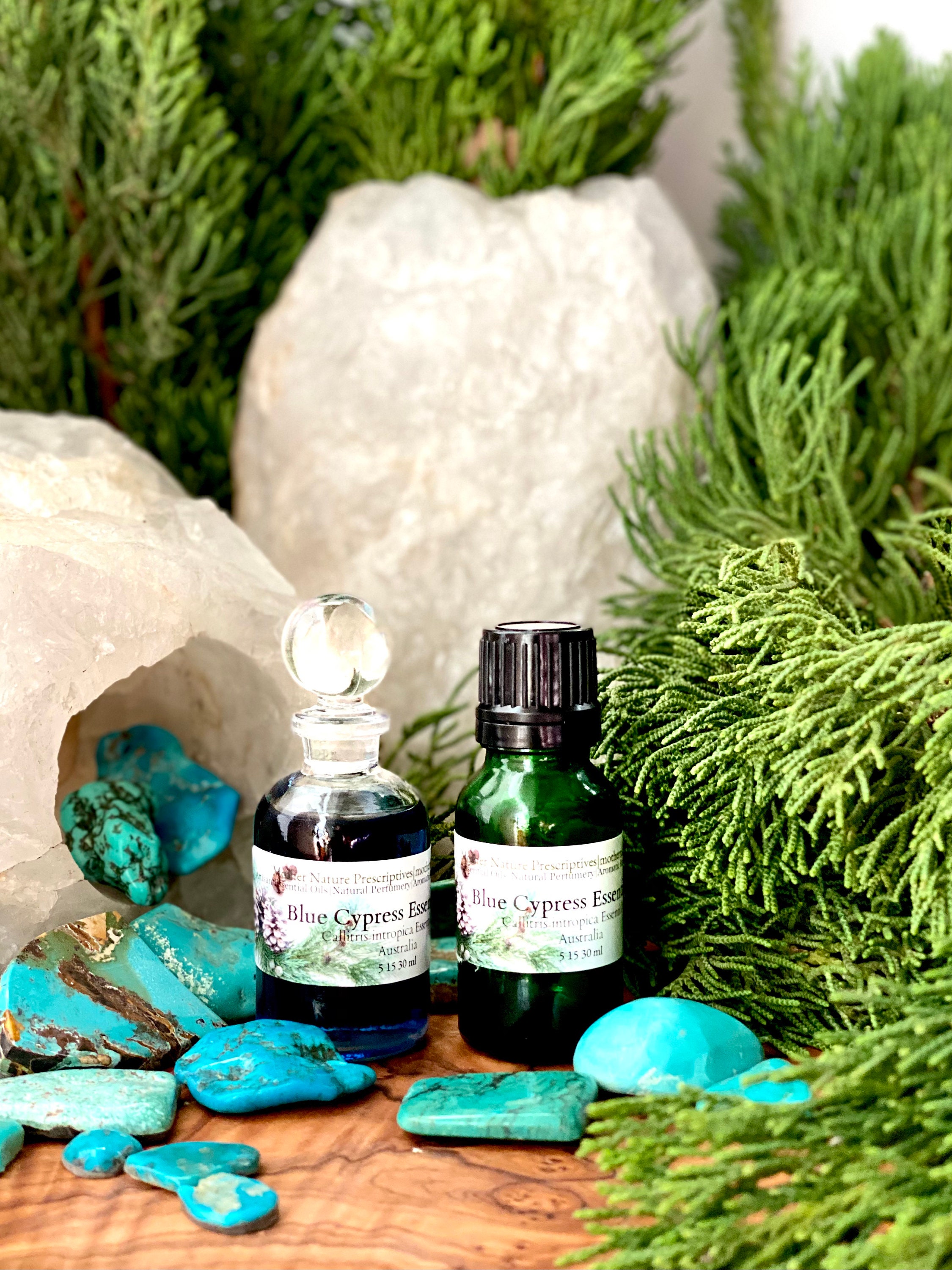 Blue Cypress Essential Oil Callitris intratropic Australia Cypress Pine  Sustainably Farmed Long Distillation  Small Production