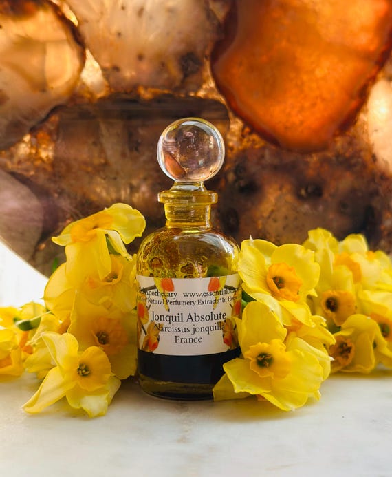 Buy Jonquil Absolute Narcissus Jonquilla Grasse France Rare Jonquill Honey  Floral Tobacco Tuberose Narcissus Perfumery Hyacyinth Online in India