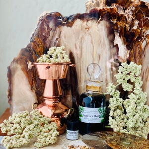 May include: A copper still and glass bottles of Angelica Root essential oil are displayed with dried flowers and a petrified wood backdrop. One bottle has a label that reads "Angelica Root Angelica archangelica France".