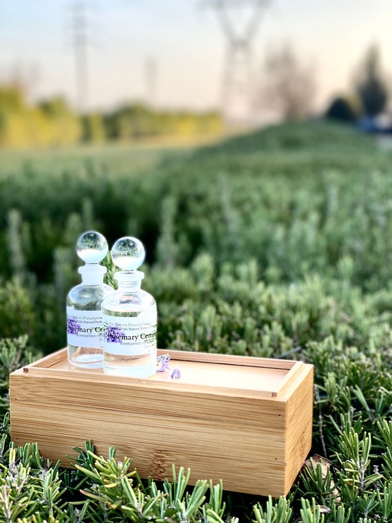 Rosemary Essential Oil Tunisia Certified Organic Rosmarinus Etsy