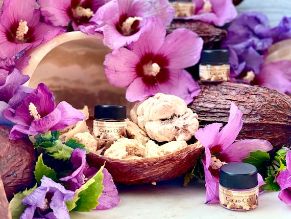 Cocoa CO2 Theobroma Cacao Solid Material Solid Perfume Making Artisan Extraction Chocolate Perfume Natural Perfumery