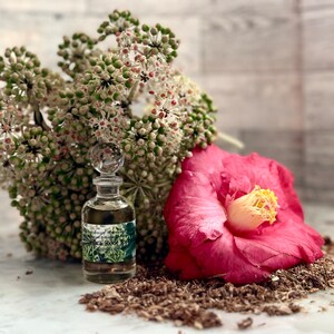 May include: A clear glass perfume bottle with a crystal stopper, labeled "Angelica Root Elixir," sits near a pink camellia flower and a cluster of white and green flowers. The scene is accented with wood shavings.