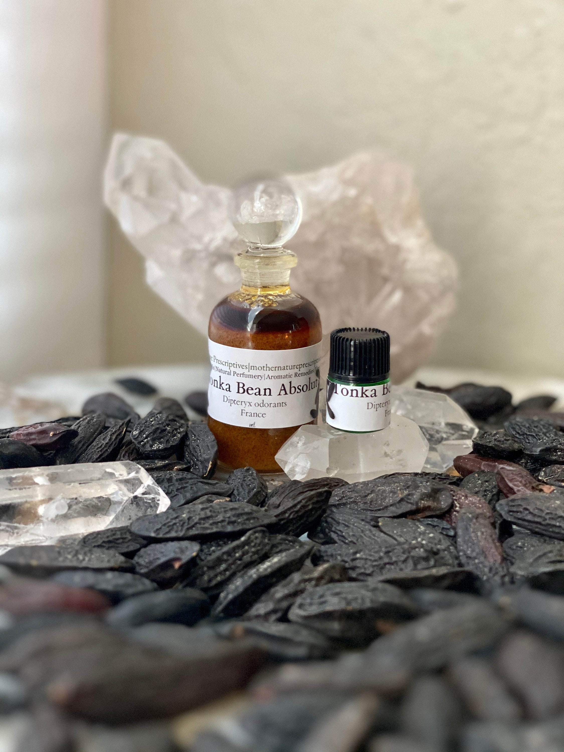Tonka Bean Absolute Oil Hexane Free Dipteryx Odorata Venezuela Luscious  Rich Vanilla Tobacco Chocolate Notes Meditation Perfumery 