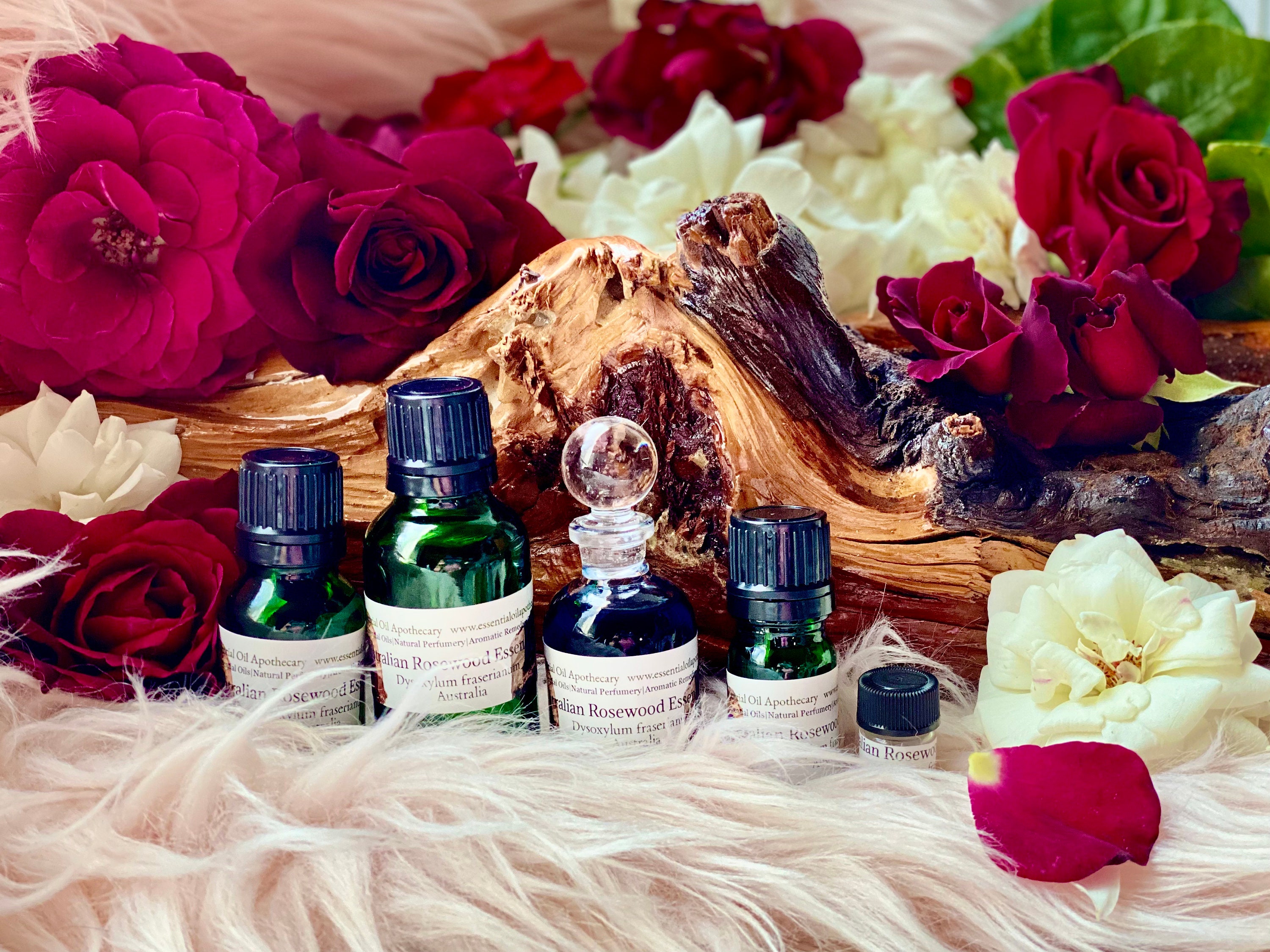 Senal perfume price new arrivals