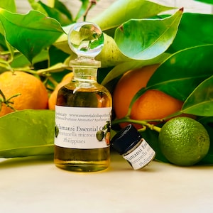 Op de afbeelding: Een heldere glazen fles Calamansi essenti&euml;le olie met een glazen stopper, naast een kleinere fles. De flessen zijn omgeven door groene bladeren, sinaasappels en limoenen. Het etiket luidt "Calamansi Essential Oil".