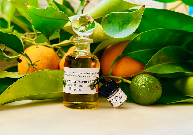 Op de afbeelding: Een heldere glazen fles Calamansi essenti&euml;le olie met een glazen stopper, naast een kleinere fles. De flessen zijn omgeven door groene bladeren, sinaasappels en limoenen. Het etiket luidt "Calamansi Essential Oil".