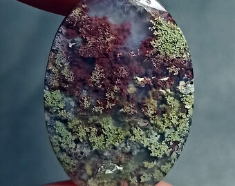 43ct Natural Green Brown Red GARDEN Moss agate ~3 Dimensional Picture~
