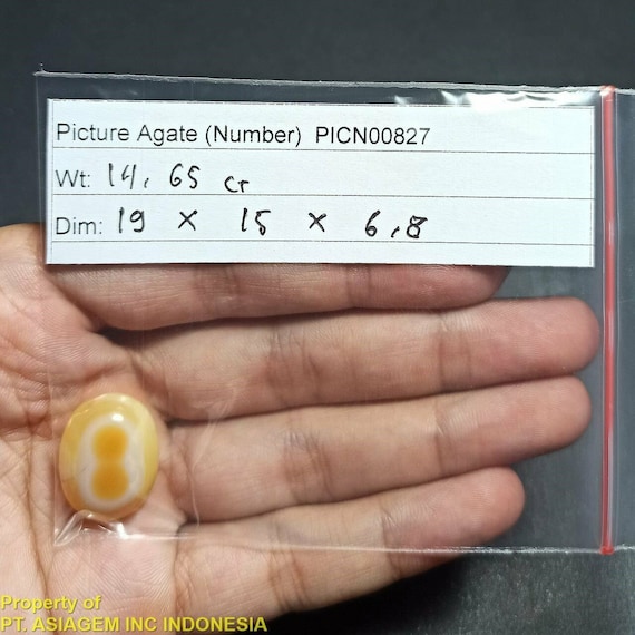 17ct Orange Brown Number 'EIGHT 8' PICTURE AGATE ~100% Natural Untreated~