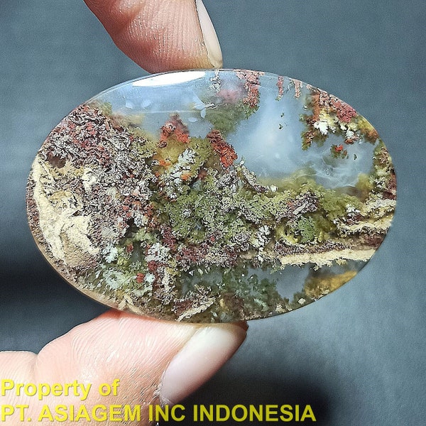 55ct natural green brown red garden moss agate ~stunning landscape picture~