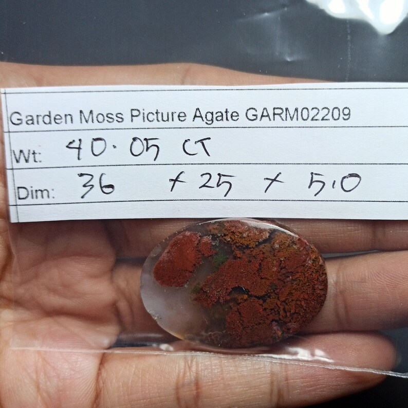 40ct Natural Green Brown Red GARDEN Moss agate ~3 Dimensional Picture~