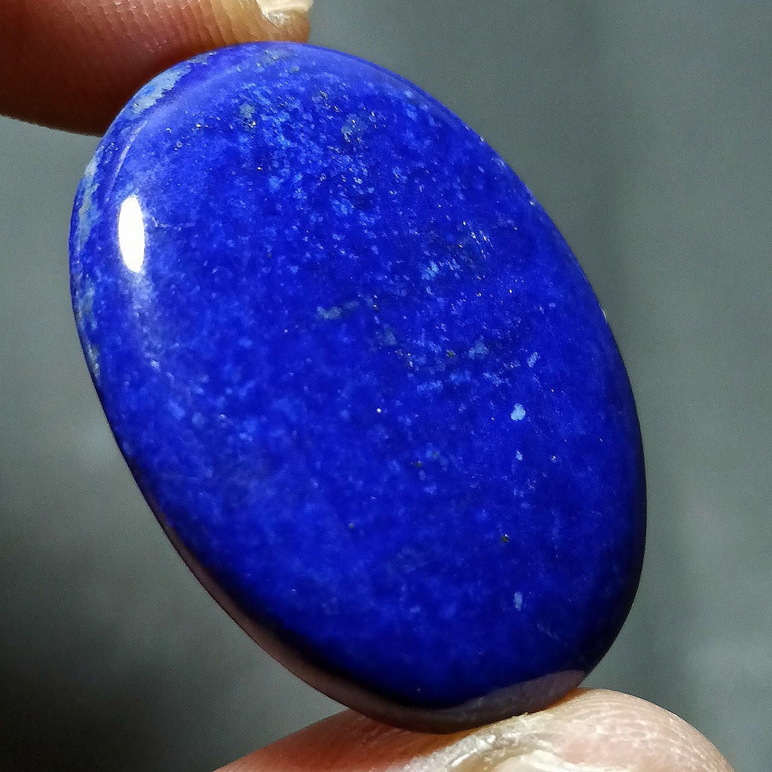 31ct Natural Top Blue Color Lapis Lazuli Cab 100 Natural Etsy