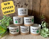 Succulent Planters