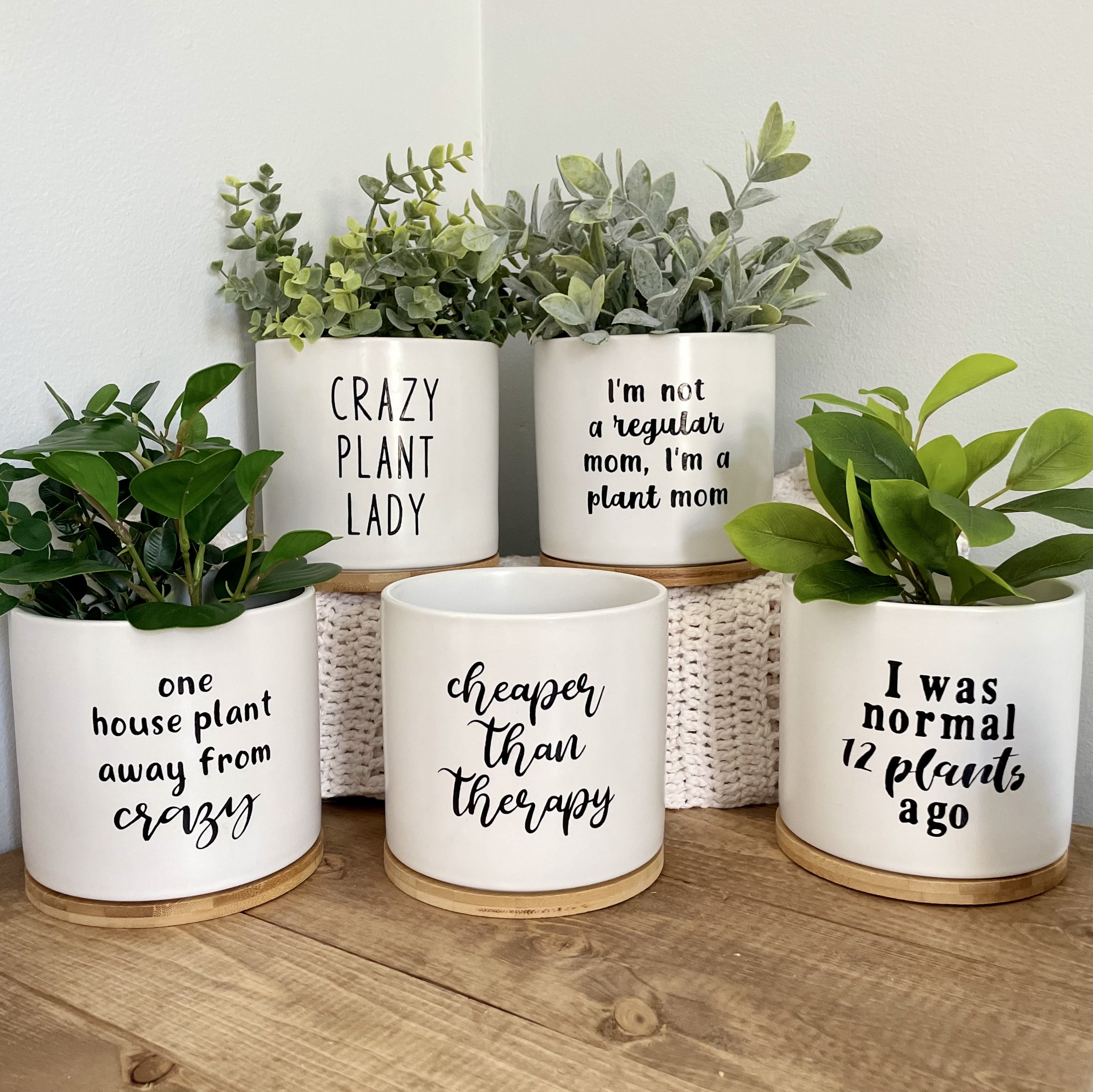 Crazy Plant Lady Planters 5 Plant Pots Funny -