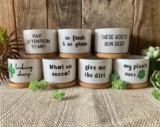 Succulent Planters Cute Plant Pots Small Flower Pots Funny - Etsy