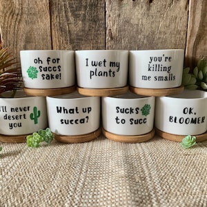 Succulent Planters - Cute plant pots, Small flower pots, Funny unique succulent pots