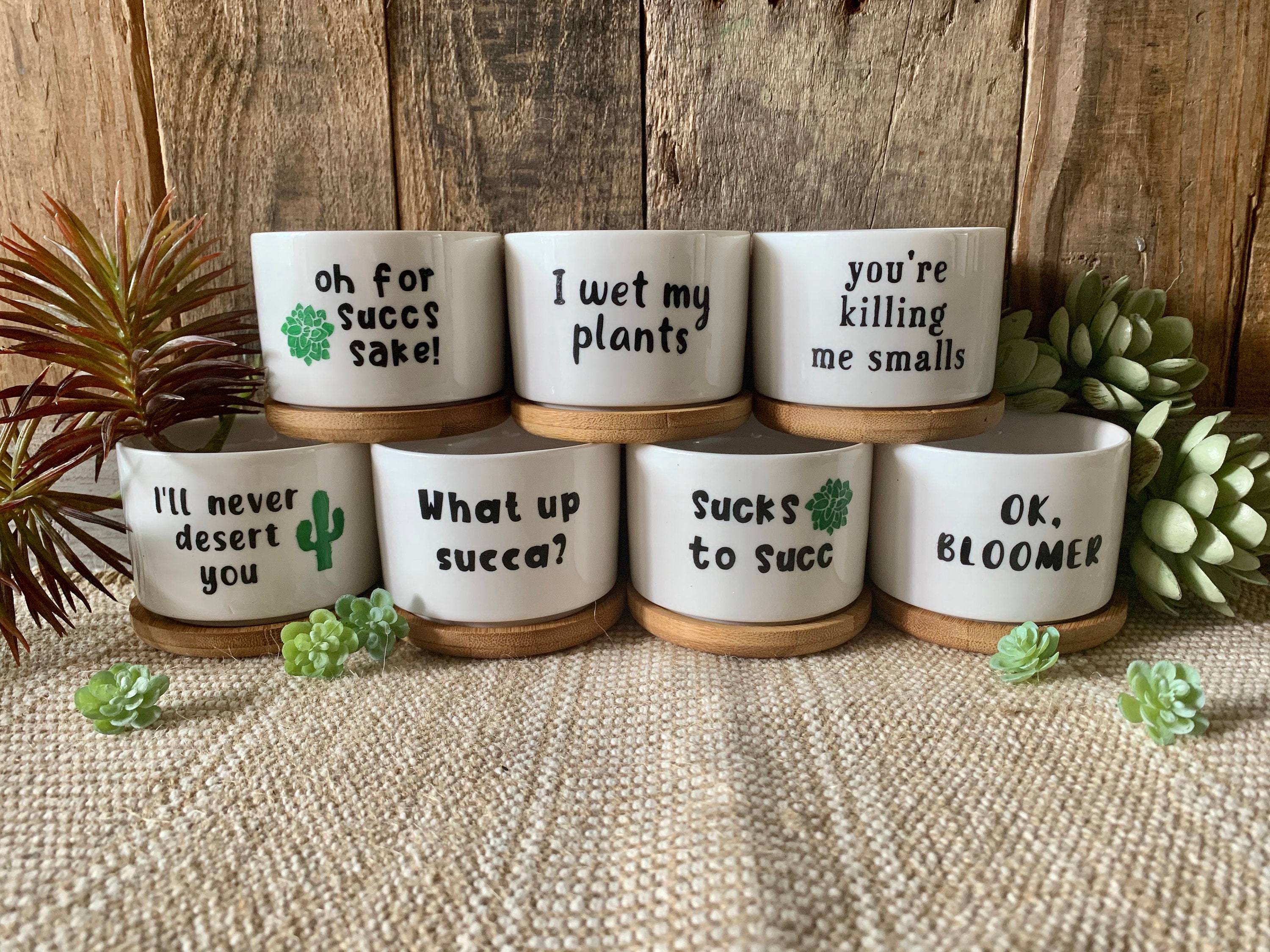 Succulent Planters - Cute Plant Pots, Small Flower Pots, Funny Unique Succulent  Pots - Etsy