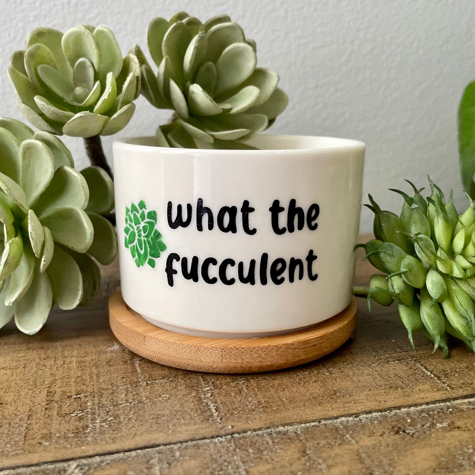Funny Succulent Planter: Hand-painted Ceramic Pot With Bamboo Base - Etsy