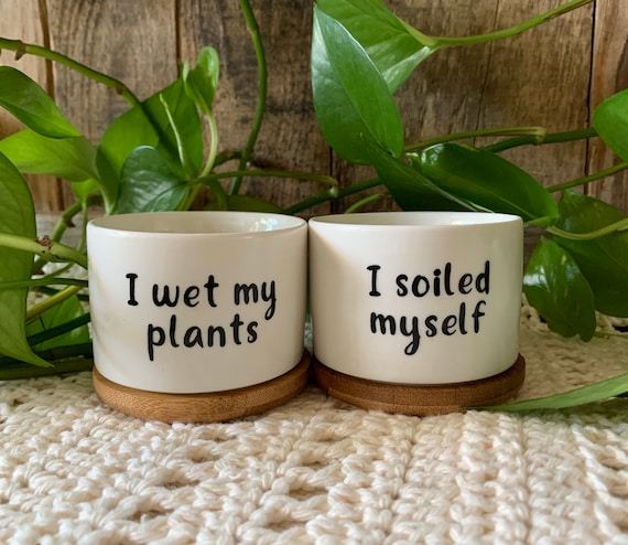 Funny Succulent Planters 2 Pack: Hand-Painted Ceramic Plant Pots