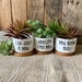 Support Planters, Succulent Planter Single or 3-Pack, You Grow Girl Planter, Small Cute Plant Pots 