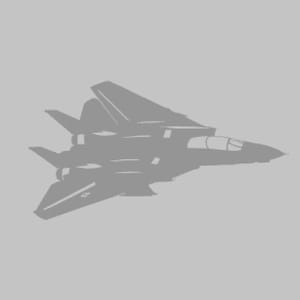 F-14 Tomcat Jet Vinyl Decal: Aircraft Silhouette Sticker