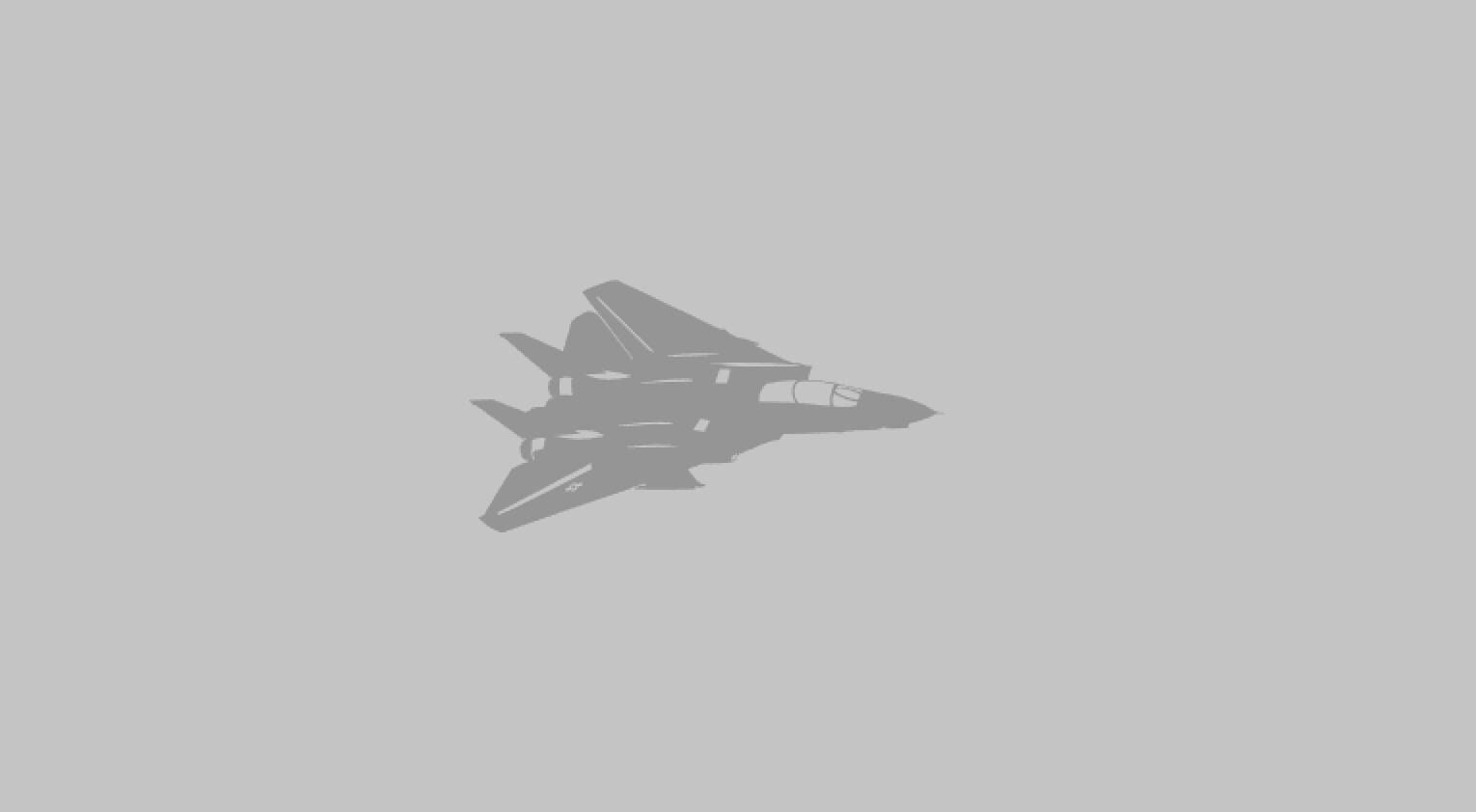 F-14 Tomcat Jet Aircraft Silhouette Vinyl Decal One Color ANY Color! Window Sticker Decal