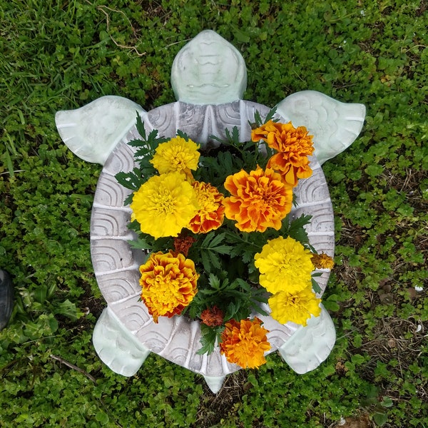 Garden Turtle