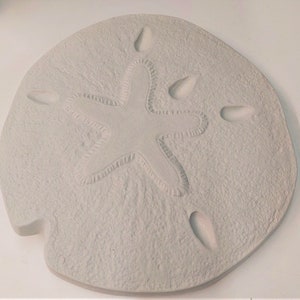 NEW! Sand Dollar Steppingstone Garden Decor