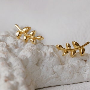 Puede incluir: Un par de pendientes de hoja de oro. Los pendientes son pequeños y delicados, y presentan un diseño simple de una sola hoja.