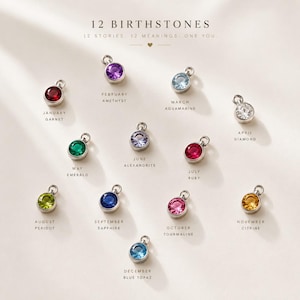 May include: Twelve circular metal charms featuring faceted birthstones in various colors, labeled with months and gemstone names including January Garnet, February Amethyst, March Aquamarine, April Diamond, May Emerald, June Alexandrite, July Ruby, August Peridot, September Sapphire, October Tourmaline, November Citrine, and December Blue Topaz.