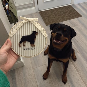 May include: A round, framed embroidery hoop featuring a Rottweiler dog silhouette on a striped background. The dog's name, "HONEY," is stitched below. The hoop is adorned with a lace bow. A Rottweiler dog is sitting next to the hoop.