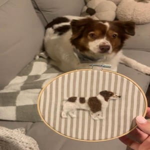 May include: An embroidery hoop featuring a brown and white dog design on a striped background. The dog is the focal point, with detailed stitching. The hoop is held in front of a real dog with similar markings.