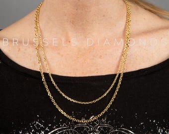 Può includere: Una collana a catena d'oro con due fili. La catena è di design delicato, sottile e a maglie.