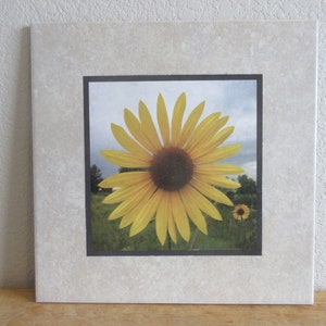 Könnte beinhalten: Ein gerahmtes Foto einer gelben Sonnenblume mit einem dunkelbraunen Zentrum. Die Sonnenblume ist scharf gestellt und der Hintergrund ist verschwommen. Das Foto ist in einem schwarzen Rahmen mit einem weißen Passepartout gerahmt.