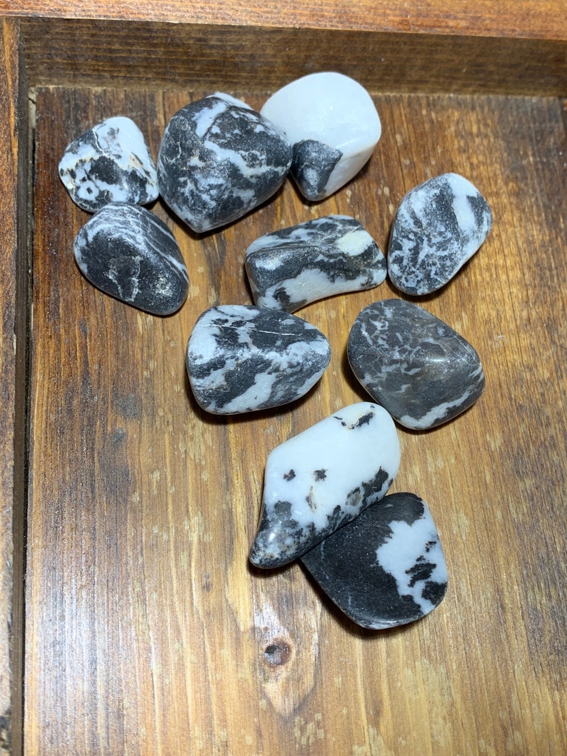 Zebra Stone Polished Beautiful black and white striped Etsy