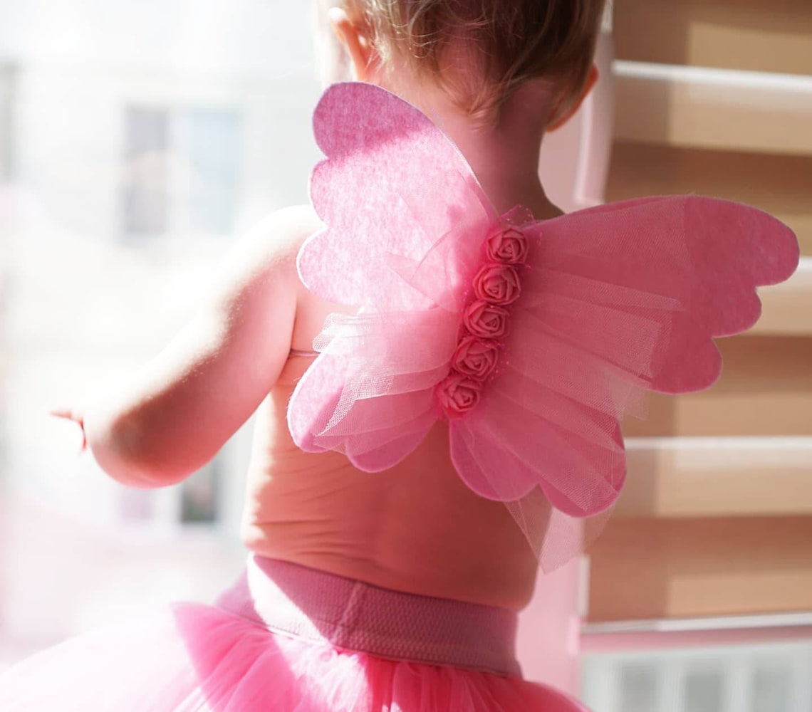 Butterfly Pink Wings for Babygirl 1st Birthday Costume Rose Fairy Mini