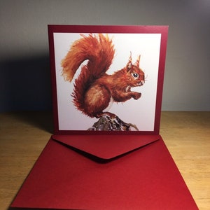 アカリスのナッツキン | エキュルイユ | アルディラ | 秋の色彩 | 森の野生動物の絵画 | リサイクルカード | 誕生日などあらゆる機会に