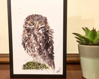 Little Owl painted Art Greeting Card, Woodland Wildlife Print, Watercolour Painting, cute gift ideas