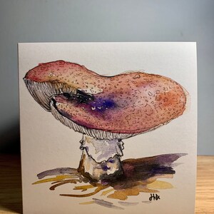 Carte de champignon, champignons, impression de peinture à l’aquarelle, art sur le thème de la nature, cartes mignonnes, juste parce que, recyclé, cadeaux faits à la main