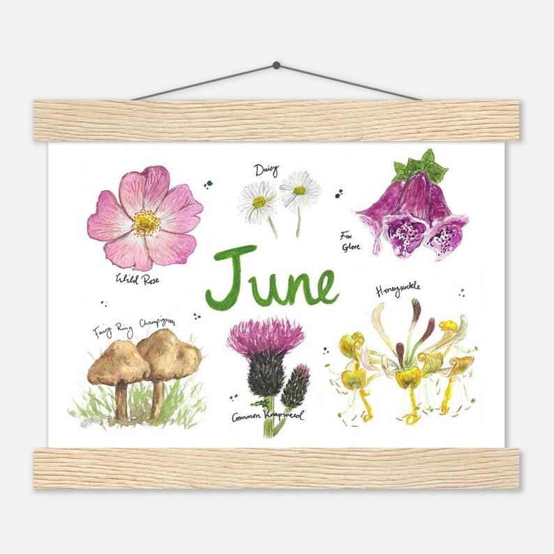 June Birth Month Botanical Art Poster With Hanging Frame - Etsy Australia