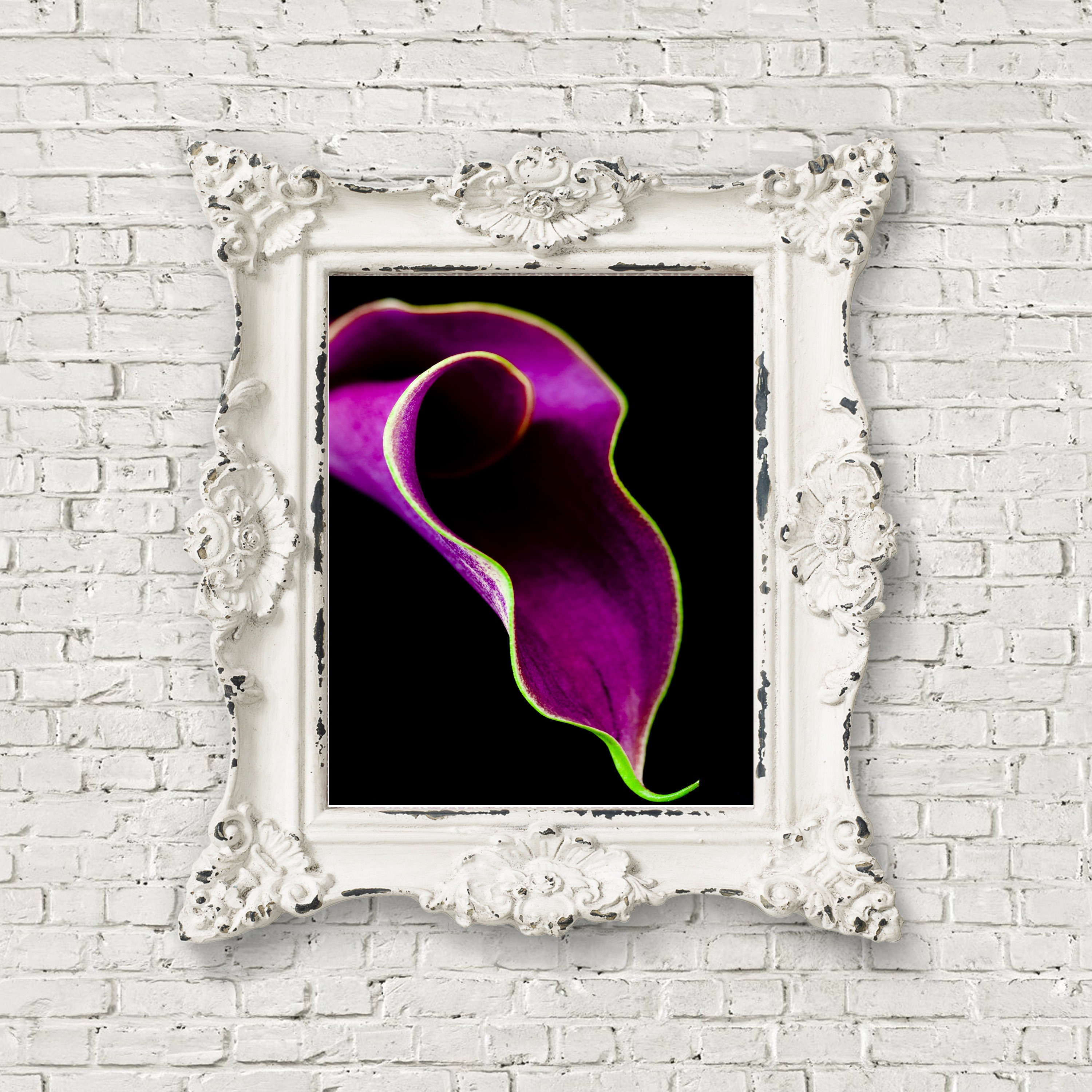 Bold Wall Art Calla Lily Flower Print Home Decor de Etsy