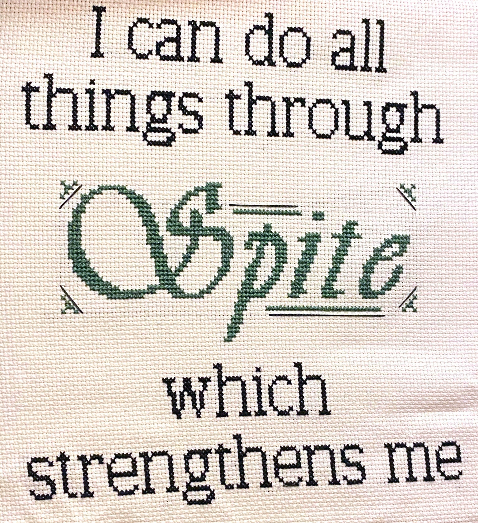 Spite Cross Stitch PATTERN I Can Do All Things Through Spite - Etsy