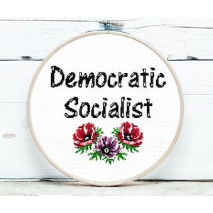 Democratic Socialist, Cross Stitch PATTERN, AOC, Bernie Sanders, progressive politics, subversive politics, eat the rich, millennial,