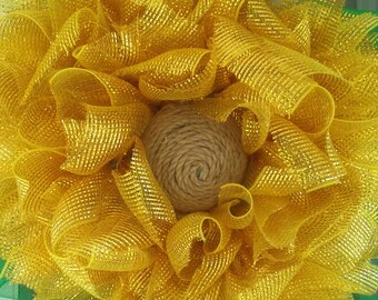 Summer sunflower
