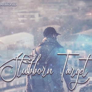 May include: A person wearing a black baseball cap and a jacket walks away from the camera. The text "Stubborn Target" is written in white cursive script over a blurry background of a city.