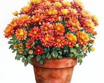 10 Printable chrysanthemum, Mum Flower in pot, Autumn flowers, flowers PNGs, chrysanthemum JPGs, colorful floral decor, Commercial use