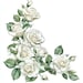 10 Printable White Roses Corner, White Roses Corner, Summer Flowers ...