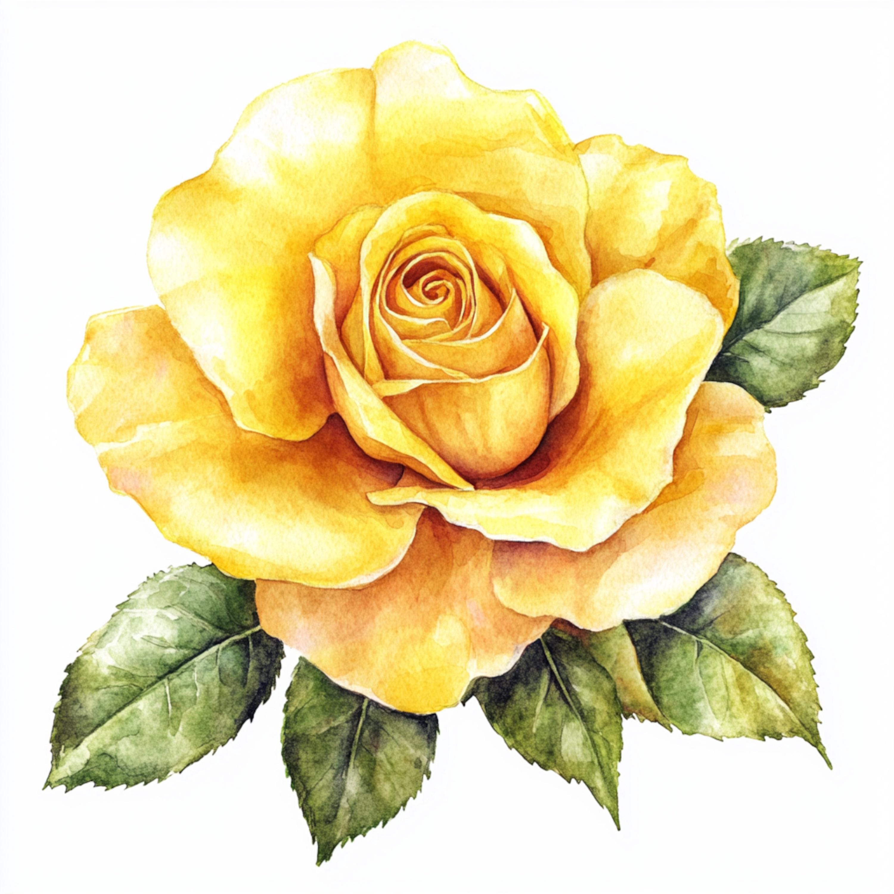 Yellow Roses To Print 10 Printable Rose Flower, Yellow Roses Art, Yellow Roses Jpgs, Summer ...